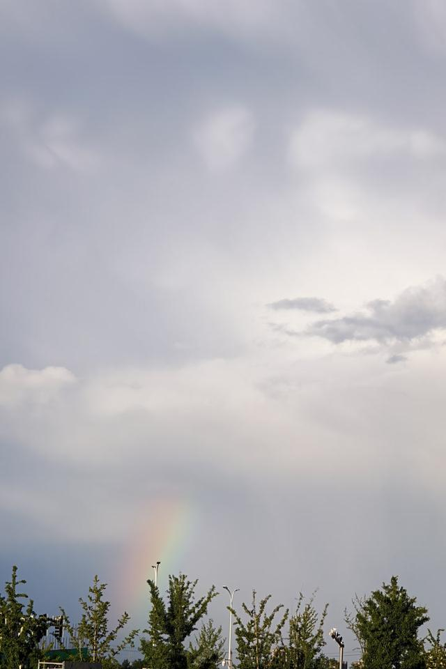 王春海 摄