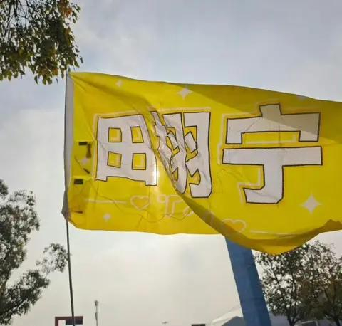图片来源于网络