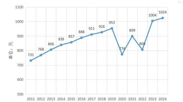 *《中国国内旅游发展年度报告2024》截图