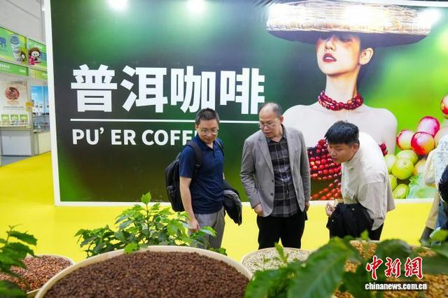 图为观众在云南普洱展区观看展出的生豆。中新社记者 刘冉阳 摄