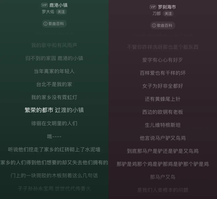 《鹿港小镇》与《罗刹海市》的歌词。（图片源于网易云音乐）