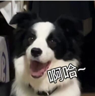 但要说真