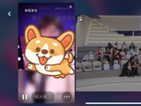 《乘风》节目过往是否有过因人气而影响选手镜头的情况？