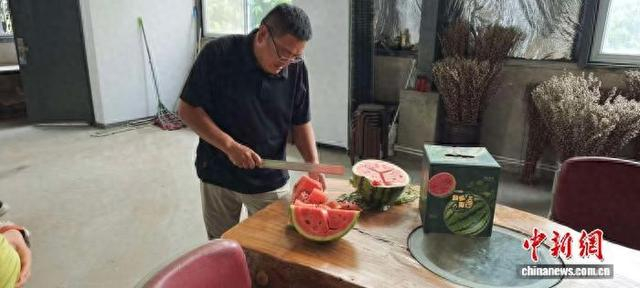 图为鑫意林家庭农场负责人李小朋切开西瓜。薛淳月 摄