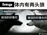 橹穆粉丝圈近期为何因为管理组为穆祉丞个人巡演应援而分裂？