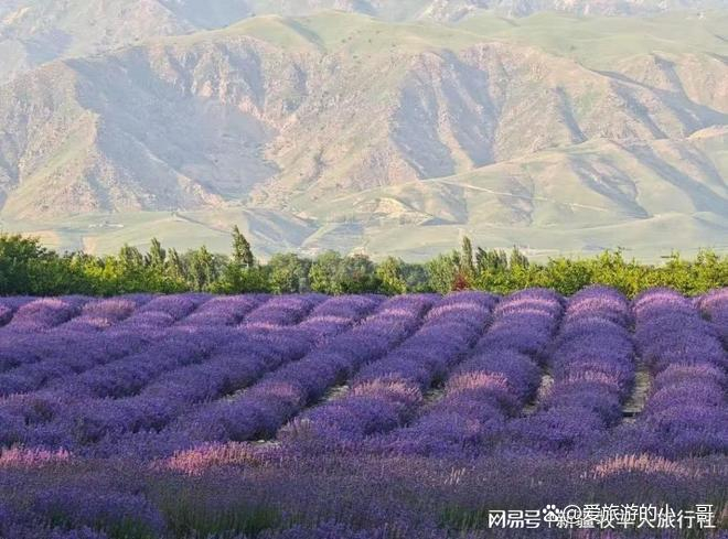  打开网易新闻 查看精彩图片 