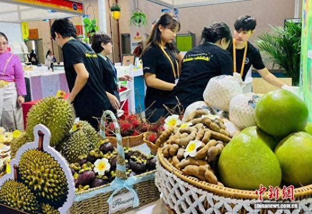 6月13日，第10届中国-南亚博览会上泰国参展商展示的榴莲、山竹、青柚等热带水果。 中新社记者 缪超 摄