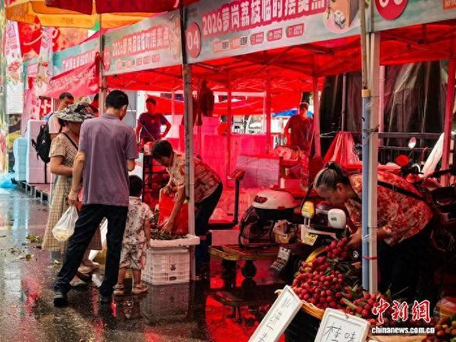 6月15日，市民和游客在位于广州市黄埔区的萝岗荔枝市场选购荔枝。 记者 张璐 摄