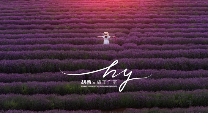来源：木子L小姐
