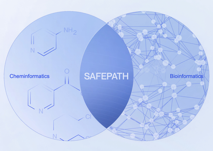 （来源：Ignota Labs）