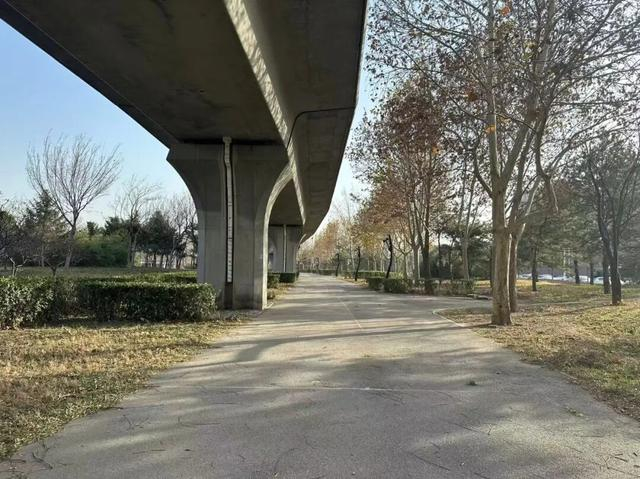 整治前图片