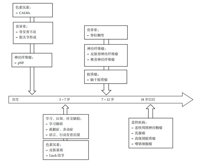 图2 NF1自然史流程图