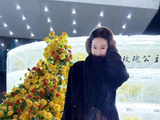 刘亦菲去看冰封黄玫瑰了，玫瑰公主来了