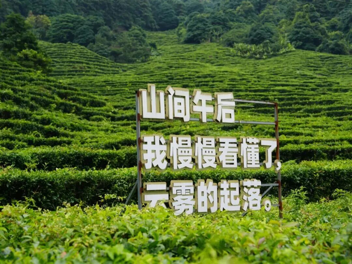 ▲广西云-广西日报记者 何兴强  摄