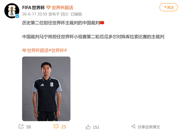 马宁执法世界杯