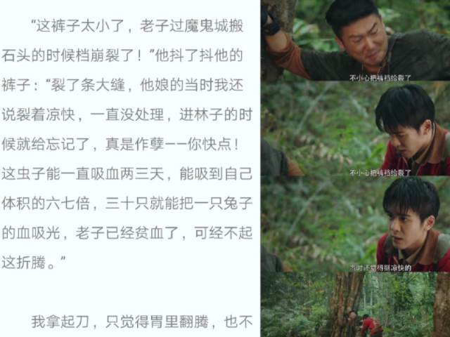  打开网易新闻 查看精彩图片 