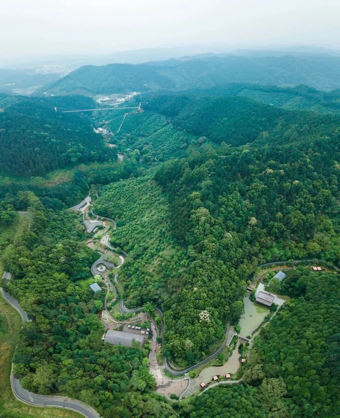 ▲广西高峰森林公园航拍图。