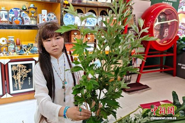 图为当地手作人正在制作整理艾草。党田野 摄