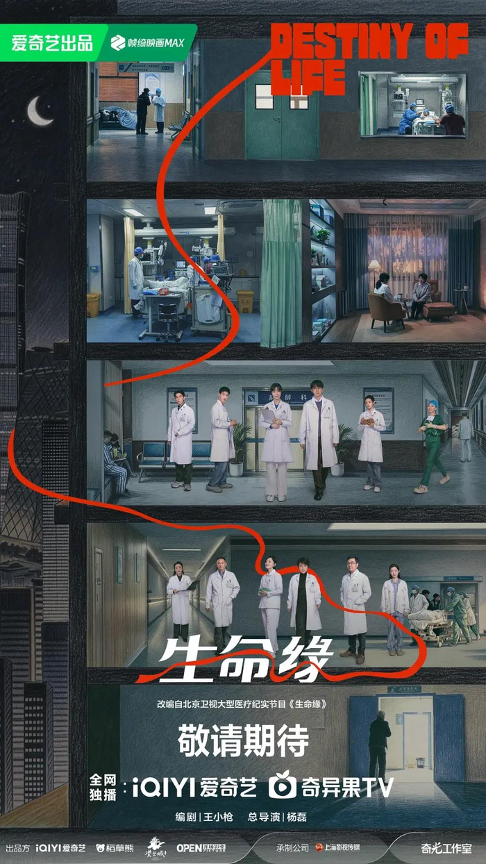 《生命缘》海报