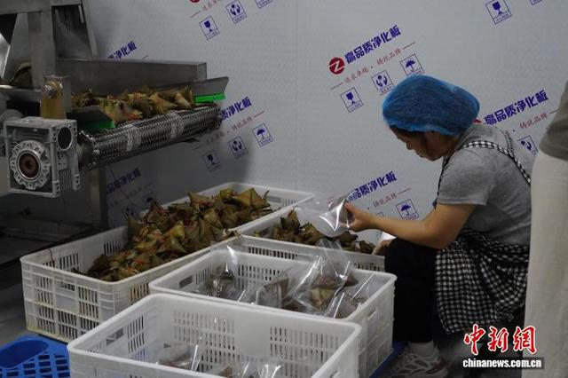 6月16日，在河北省邯郸市肥乡区南谢堡村的粽子加工厂内，工人将包好的粽子进行真空包装。 王夏菲 摄