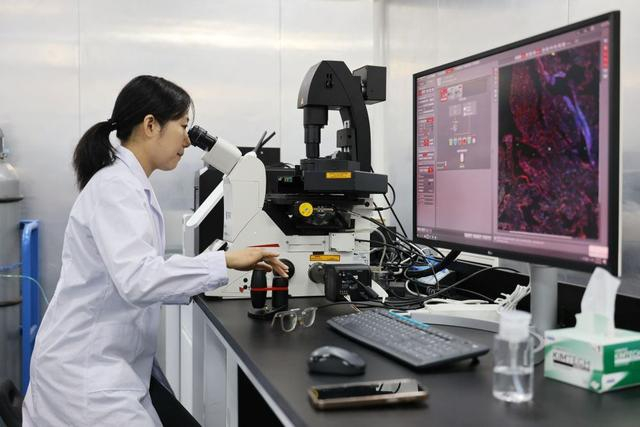 6月18日，科研人员在南开大学药物化学生物学全国重点实验室进行样品拍摄。新华社记者 李然 摄