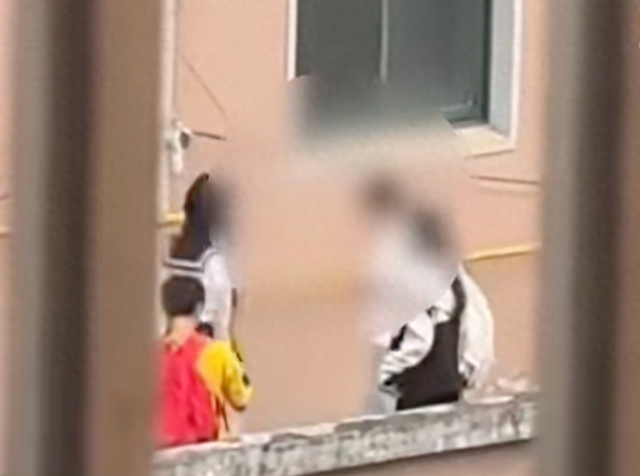 视频截图