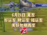 成毅献唱夏至主题曲，寄语粉丝沐光而行