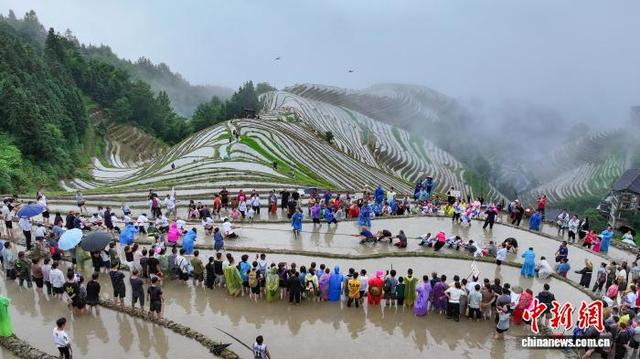 图为当地壮族村民在进行梯田拔河比赛。（无人机照片）杨宗盛 摄 