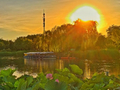 夏至晓光映京城，一城鲜活盛夏就此开篇