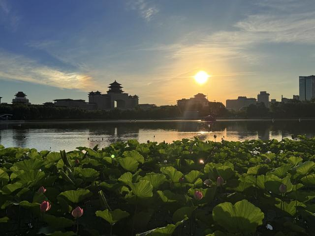 温红征 摄