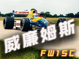 威廉姆斯Fw15c——横跨时代的黑科技集大成者，却在一夜之间被全面禁用