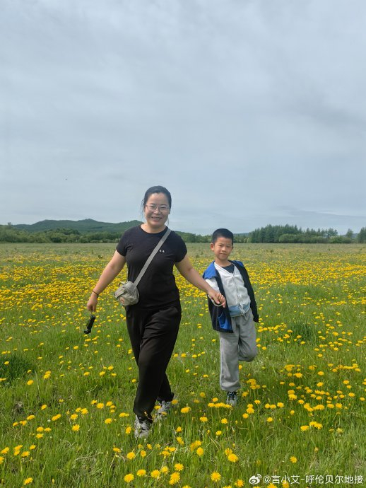 呼伦贝尔草原夏季风光