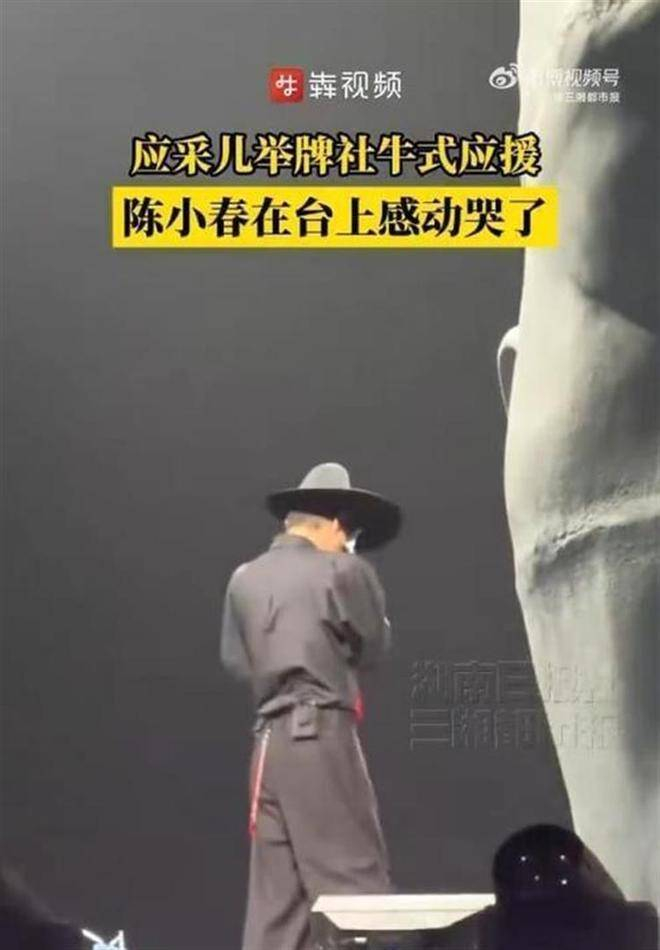 陈小春之所以反应如此强烈，是因为他骨子里太吃这一套。这个在镜头前话少、表情酷、甚至有些严厉的男人，内心深处其实极其传统，也很重视家庭。应采儿当众热烈、毫无保留的肯定与支持，正中他情感的软肋——被崇拜、被需要、被深深爱着。他们的相处模式，一直是她闹，他笑，而这次上海演唱会，则直接升华为她喊，他哭。应采儿用最张扬的方式，给予了陈小春最顶级的情绪馈赠；而陈小春，用最真切的泪水回应了这份沉甸甸的爱。没有掩饰，没有矫揉造作，就是一个敢喊，一个敢哭。 演唱会结束后，应采儿在社交媒体上晒出了陈小春下一轮巡演的海报，仅配三个字：2.0见。她将演唱会的情绪延展至对丈夫事业的持续支持，这早已超越了普通粉丝的角色，而是妻子兼事业合伙人的深度参与。事实上，应采儿在陈小春的职业生涯中扮演的角色远不止站姐。当年陈小春因古惑仔形象受到戏路局限，是应采儿力荐他参加《爸爸去哪儿》，成功塑造反差萌慈父的新形象，打开了内地市场。随后，《妻子的浪漫旅行》《披荆斩棘的哥哥》等节目，进一步强化了宠妻和大湾区哥哥的标签。2025年底，AI翻唱版《街角的晚风》意外爆红，应采儿没有选择常规维权，而是反向操作买下版权，精心打磨成陈小春的个人单曲。此曲登上2026年东方卫视春晚后，播放量突破三亿，直接推动了此次巡演场场售罄。 所以，那两块荧光绿牌子所承载的，不只是演唱会的感动，更是十几年婚姻中，应采儿为陈小春铺路、撑腰、摇旗呐喊的所有浓缩。陈小春的泪水里，藏着被理解的感动、被支持的感激，甚至还有几分我何德何能的庆幸。当晚相关话题在社交媒体上的阅读量迅速突破8.6亿，讨论数超过320万。网友们一边喊着嗑到了，一边精准点评：这哪是举牌，这是给婚姻上了一道最硬的保险。，最好的爱情，就是她在台下当你的首席粉丝，你在台上为她卸下所有盔甲。演唱会以《人情味》收尾，陈小春几度哽咽。这首歌的名字，仿佛成为当晚最贴切的注脚：所有轰轰烈烈的情感，最终都汇聚成台上台下的那份相知相惜的人情味。应采儿用两块牌子，把一场商业演唱会变成了专属于他们两人的爱情宣言；陈小春则用最真实的泪水，告诉世人：硬汉的软肋，永远留给那个最懂他的人。