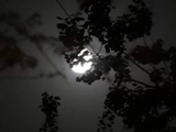 王俊凯首张同名专辑WJK开启预热