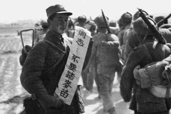 图源：人民政协报