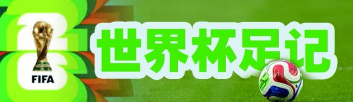 乌兹别克斯坦对阵葡萄牙