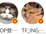 如何看待“左邓”事件中粉丝群体表现出的两极分化现象？