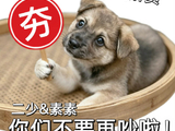 张凌赫在《这一秒过火》预告中以本名‘张家玮’出现，具体原因是什么？
