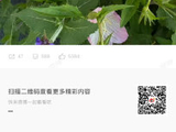 李金铭本人对于这起长达十年的网络谣言事件，是什么态度和看法？