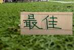 中超五月最佳球员评选 北京国安就有2个球员入选