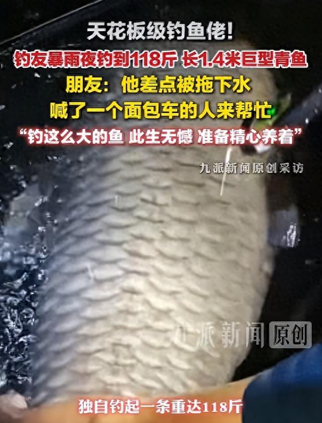 【来源：九派新闻】
