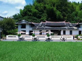 福建德化六月禾苗漫山，成毅歌声伴绿野希望