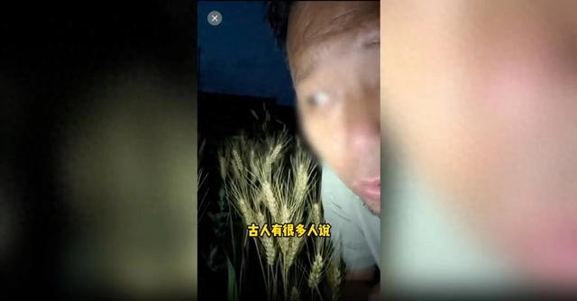 网红攻击育种技术视频截图