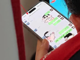 向佐向佑聊天截图曝光，撕开向家隐痛