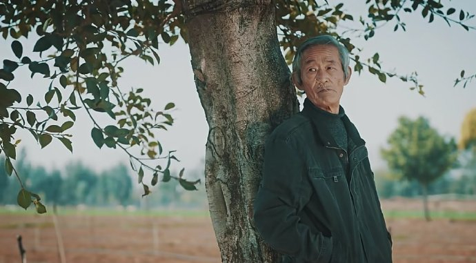 妹爷的口头禅“你妹的”是怎么来的?|应宝林|天龙八部|陈翔六点半|滇剧|陈翔六点半之废话少说_手机新浪网