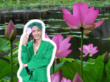 伴张艺兴歌曲莲一起赏荷
