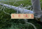 一大早 申花官微祝福阿苏埃生日快乐！