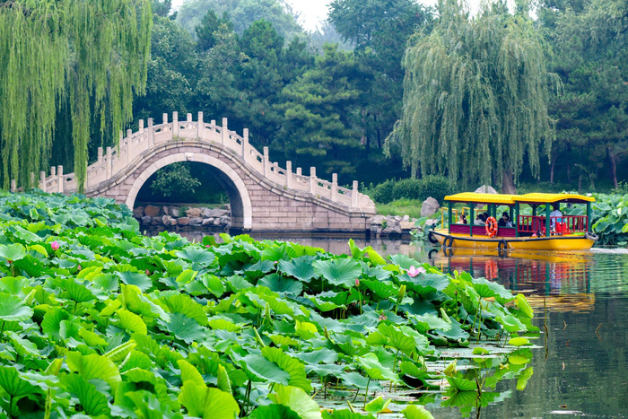 圆明园举办第三十一届荷花节。何建勇 摄