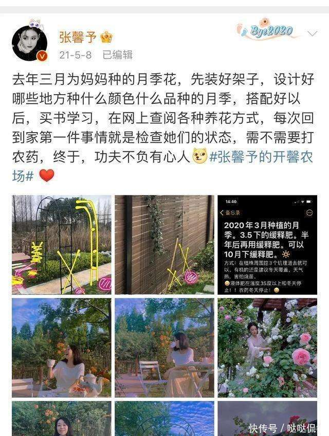 她的转变并非一蹴而就。早年间那些风波和挑战，让她意识到，在娱乐圈中，风风雨雨的事太多，试图证明自己并没有太多意义，不如活得真实。她也感谢那些低谷的时光，因为它们让她学会了坚韧，慢慢找回了自信。而嫁给何捷之后，她的状态更加稳定，心态也愈发平和。许多人说爱情改变了她，其实，更多的是她自己努力的结果。正如作家三毛所言：世间事来去有时，把自己修好，等就好。她便是这样，在经历过黑暗之后，终于迎来了属于她的光明。