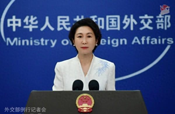 毛宁资料图。图源：外交部网站